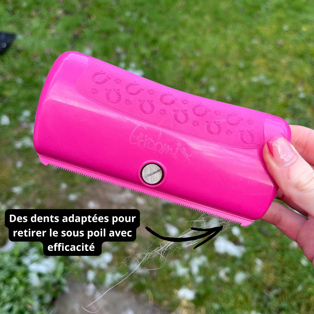 GroomPro - Brosse de toilettage