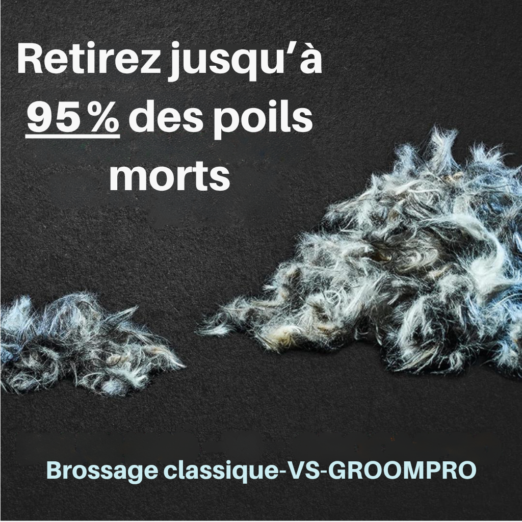 GroomPro - Brosse de toilettage