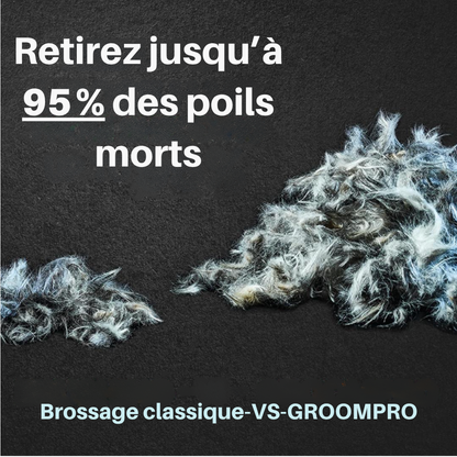 GroomPro - Brosse de toilettage