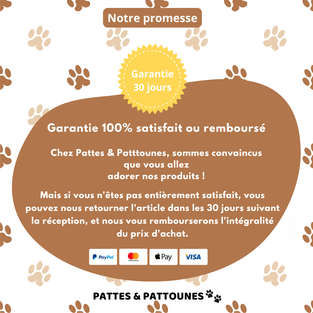 GroomPro - Brosse de toilettage