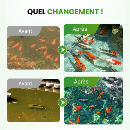 🌊500g Poudre Premium pour l'entretien du bassin | Clarificateur d'eau & contrôle des algues🐟🌿