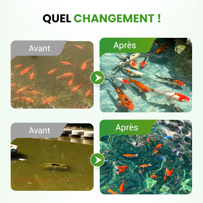 🌊500g Poudre Premium pour l'entretien du bassin | Clarificateur d'eau & contrôle des algues🐟🌿
