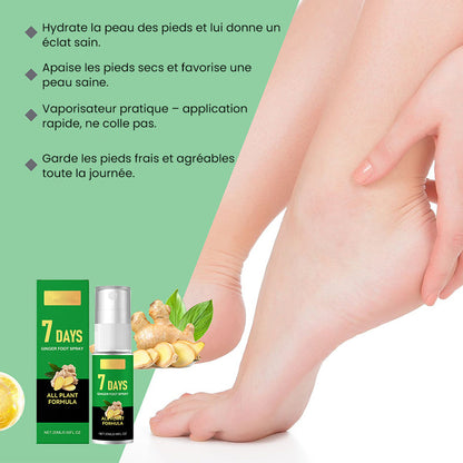 Éliminateur de callosités des pieds
