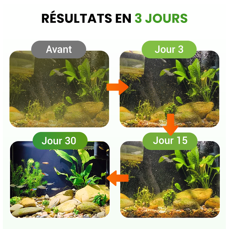 🌊500g Poudre Premium pour l'entretien du bassin | Clarificateur d'eau & contrôle des algues🐟🌿
