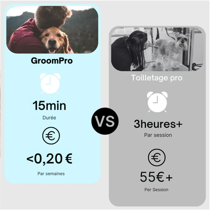GroomPro - Brosse de toilettage