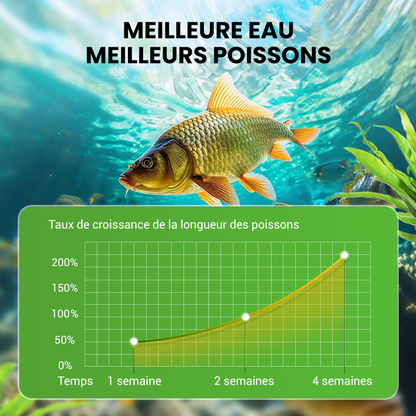 🌊500g Poudre Premium pour l'entretien du bassin | Clarificateur d'eau & contrôle des algues🐟🌿