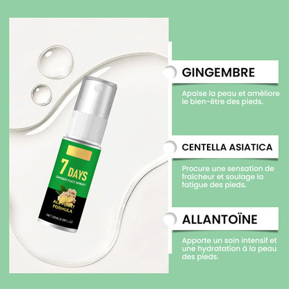 Éliminateur de callosités des pieds