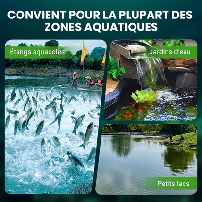 🌊500g Poudre Premium pour l'entretien du bassin | Clarificateur d'eau & contrôle des algues🐟🌿