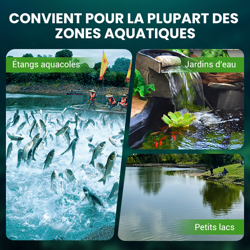 🌊500g Poudre Premium pour l'entretien du bassin | Clarificateur d'eau & contrôle des algues🐟🌿