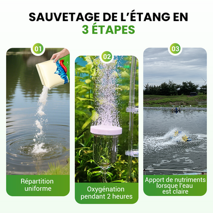 🌊500g Poudre Premium pour l'entretien du bassin | Clarificateur d'eau & contrôle des algues🐟🌿