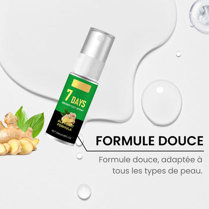 Éliminateur de callosités des pieds
