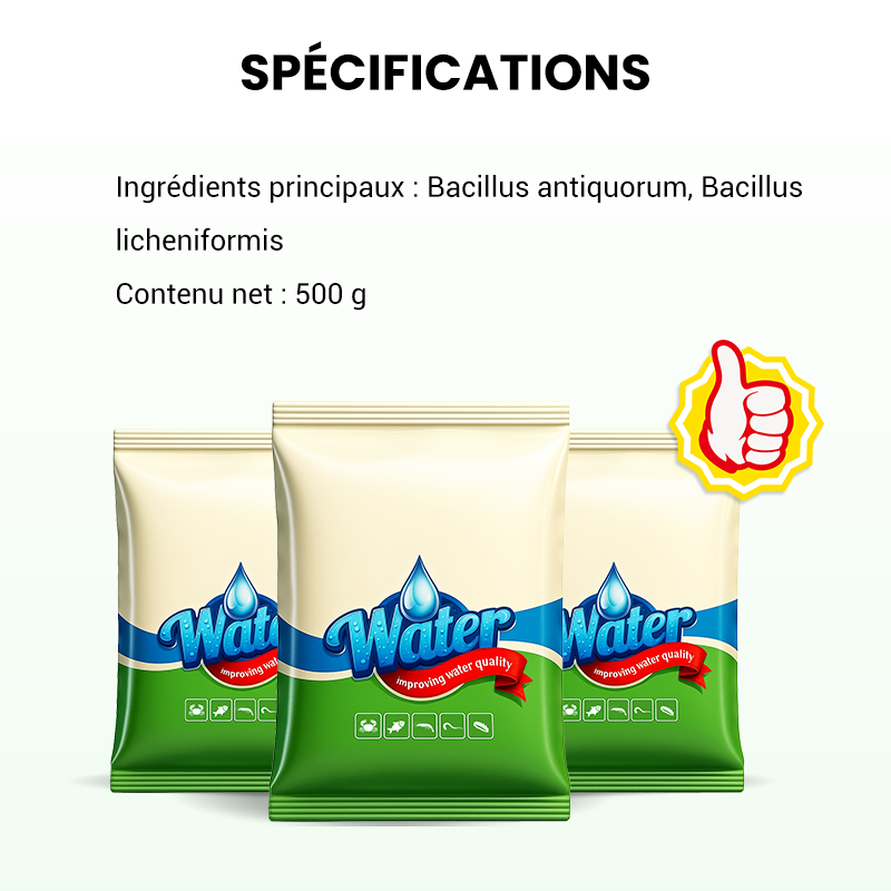 🌊500g Poudre Premium pour l'entretien du bassin | Clarificateur d'eau & contrôle des algues🐟🌿