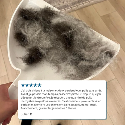 GroomPro - Brosse de toilettage
