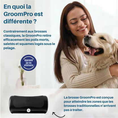 GroomPro - Brosse de toilettage
