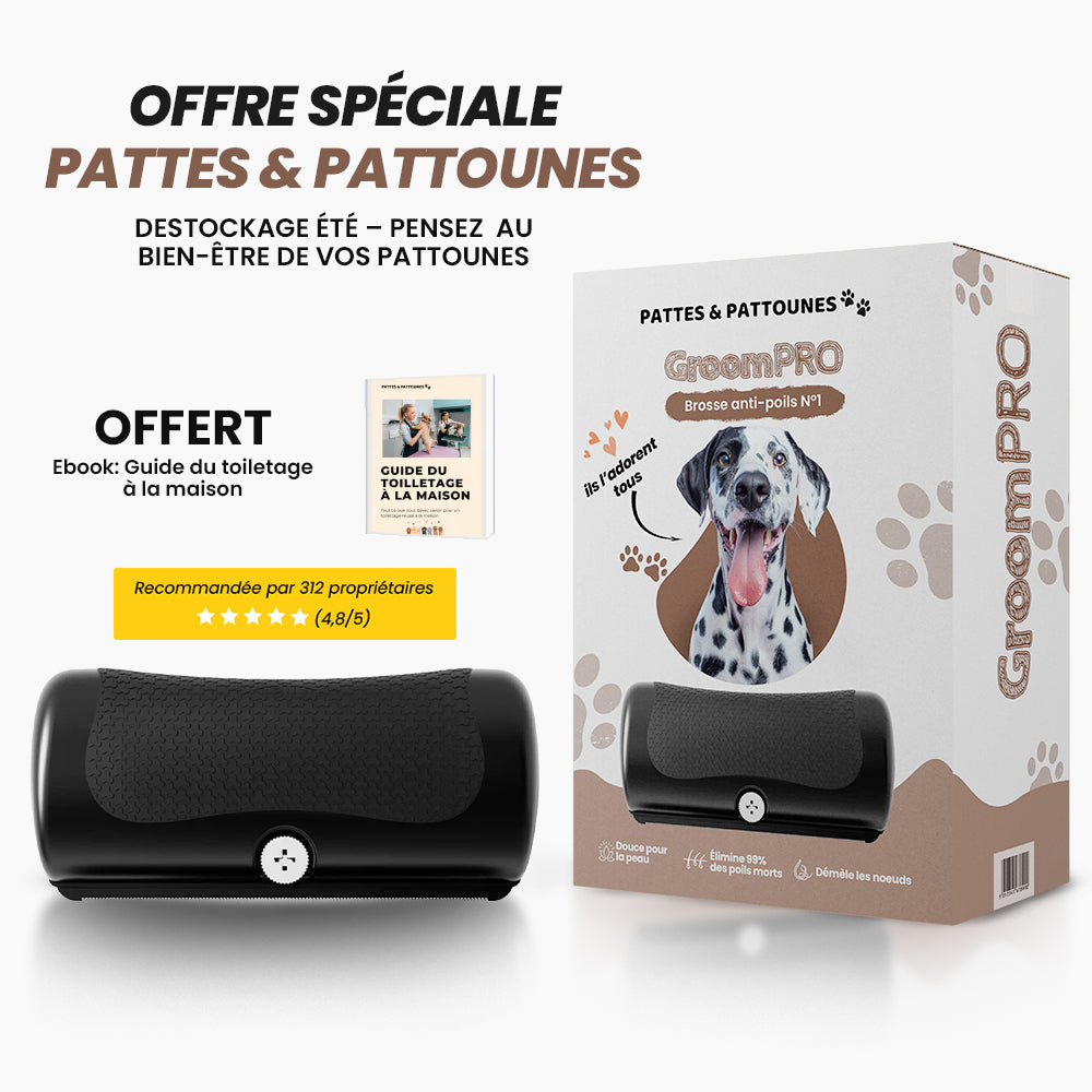 GroomPro - Brosse de toilettage