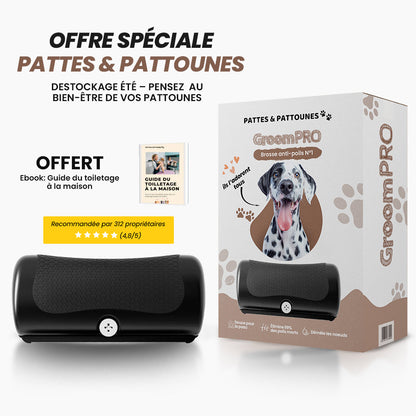 GroomPro - Brosse de toilettage