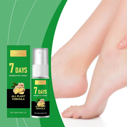 Éliminateur de callosités des pieds